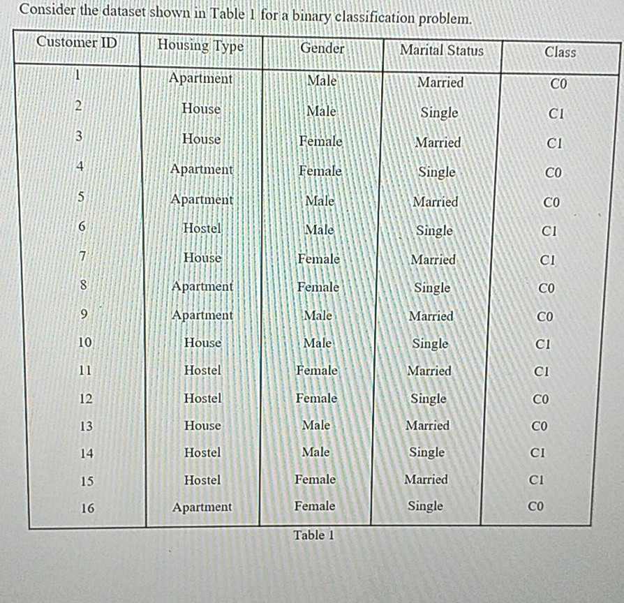  Consider the dataset shown in Table 1 for a binary classification