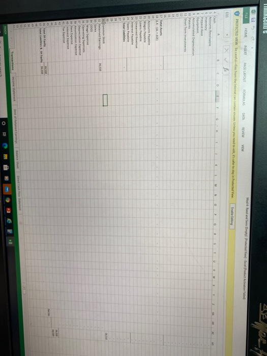 Module 4 Assignment Workbook. Reed & Sons Painters has a balance sheet