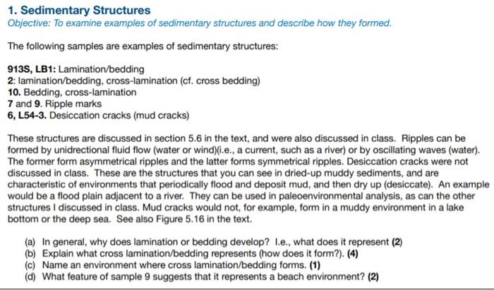  1. Sedimentary Structures Objective: To examine examples of sedimentary structures and