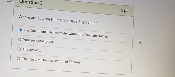  Question 3 1 pts Where are custom theme files saved by