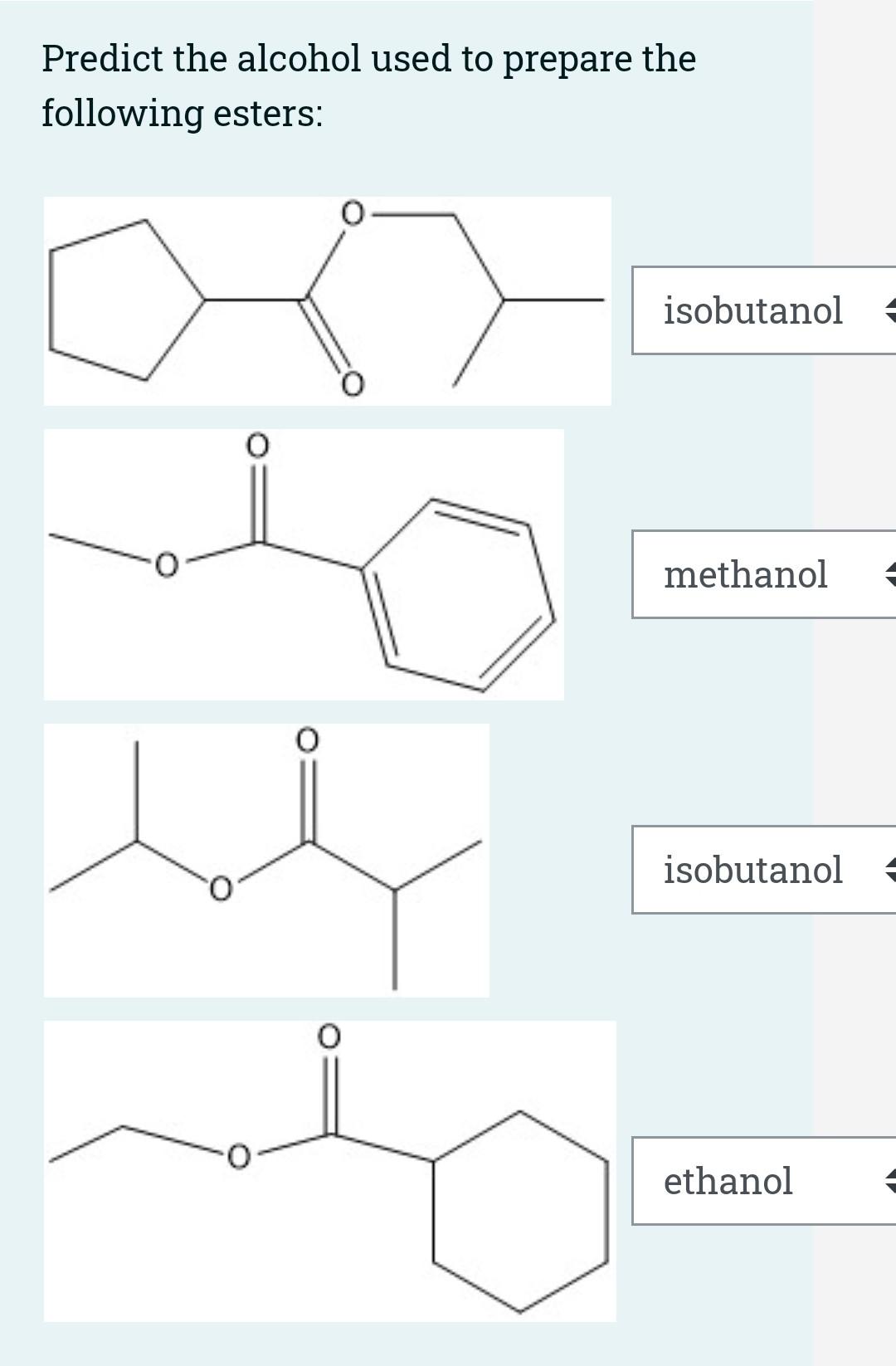 please check this questiones the answer it's true or false Predict the