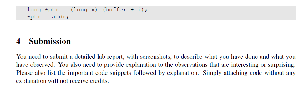 downloaded from the SEED website. 2 Lab Tasks 2.1 Turning Off Countermeasures