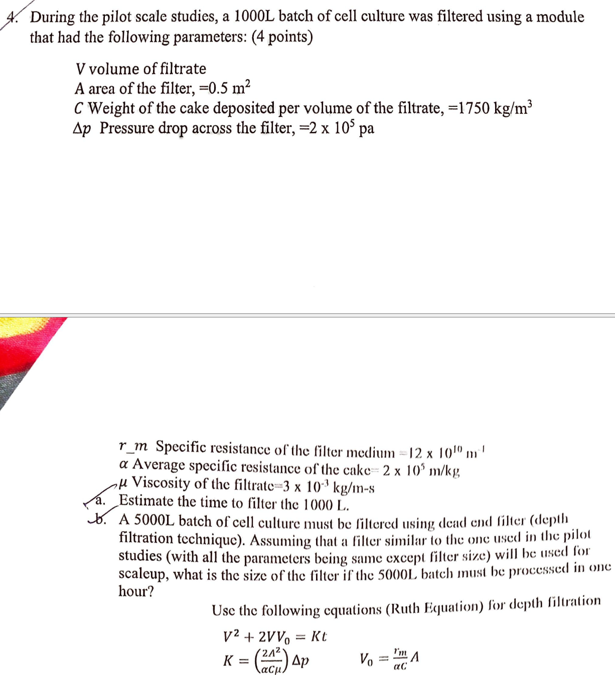  During the pilot scale studies, a 1000L batch of cell culture