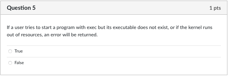 . If a user tries to start a program with exec but