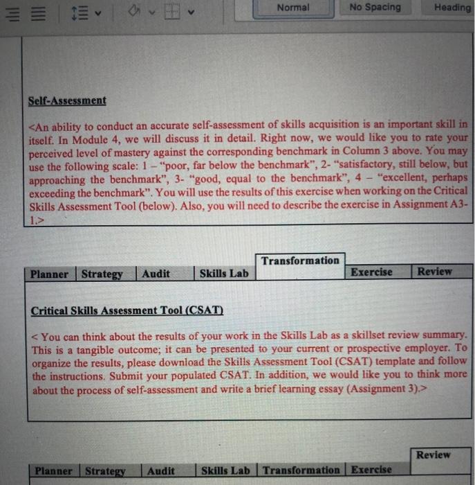 management skills 17 META Car Salamander Marketing van 200m Critical Skill Subareas.