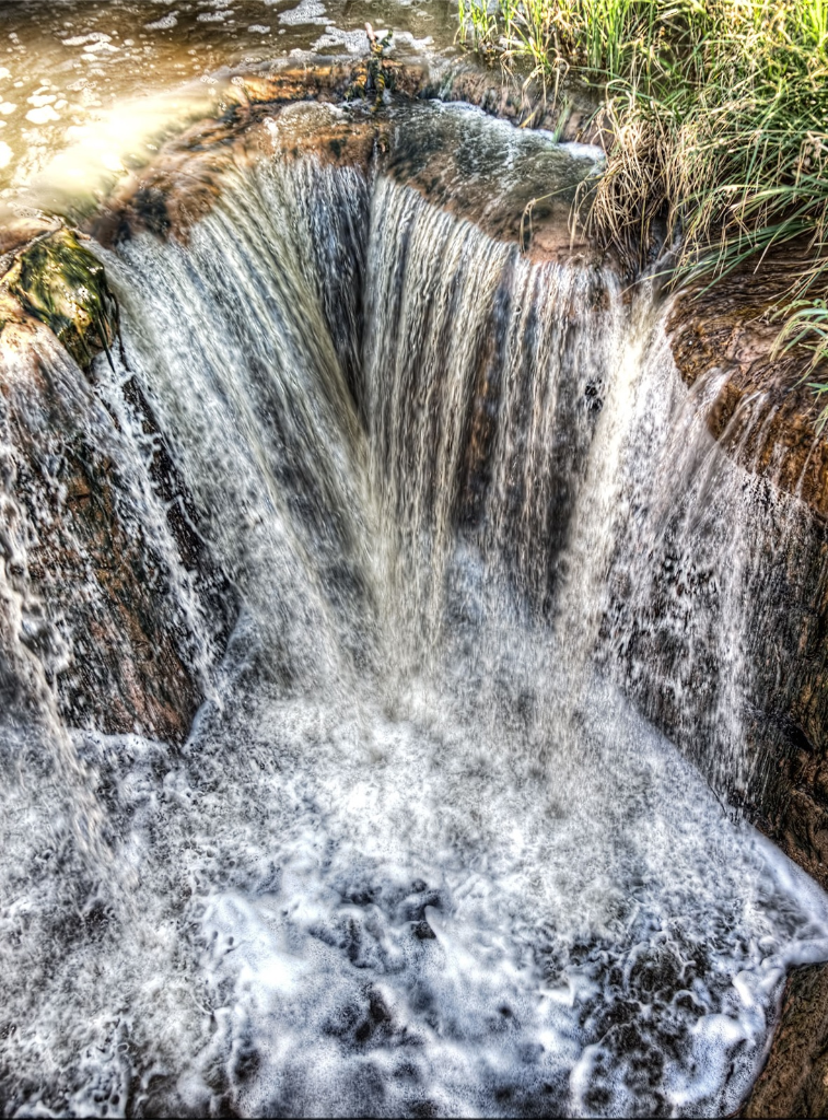 out for a morning stroll. Your goal is to filter just the