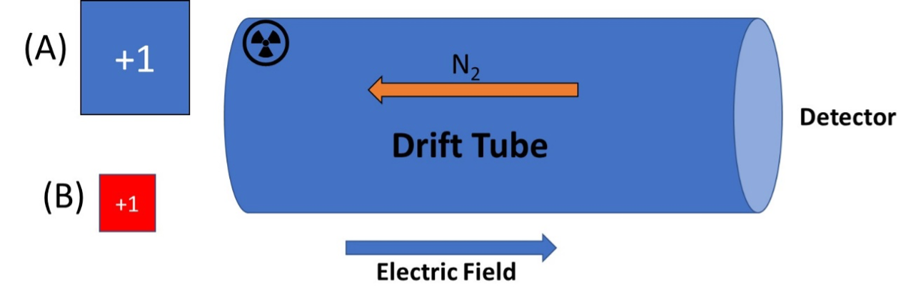  a. Which of the two ions will arrive first in an