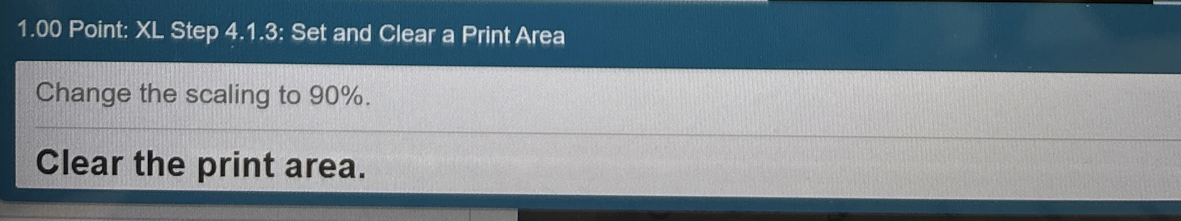  1.00 Point: XL Step 4.1.3: Set and Clear a Print Area
