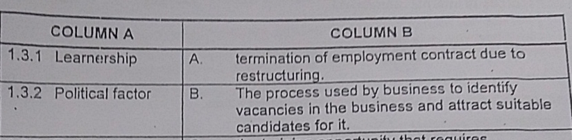 COLUMN A1.3.1 Learnership1.3.2 Political factorABCOLUMNBtermination of employment contract due torestructuring.The process