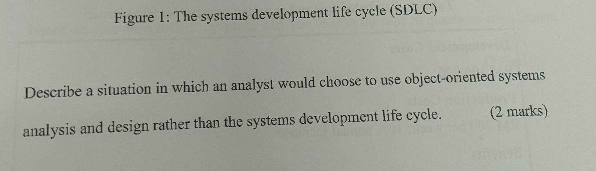  Figure 1: The systems development life cycle (SDLC) Describe a situation