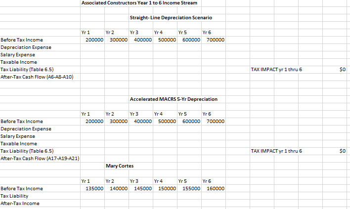 years (Year 1 to Year 6) is shown in the excel spreadsheet
