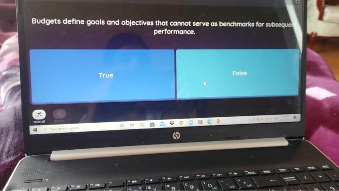  Budgets define goals and objectives that cannot serve as benchmarks for