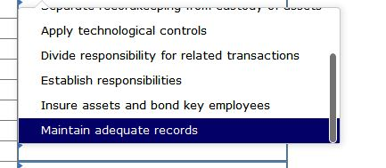 Apply technological controls Divide responsibility for related transactions Establish responsibilities oporucenourrury w