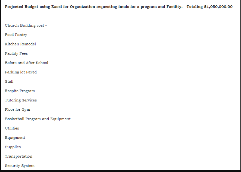 Projected Budget using Excel for Organization requesting funds for a program