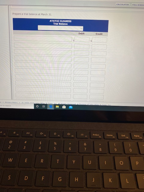 Lars Urken opened Ayya Cleaners on March 1. 2017. During March the