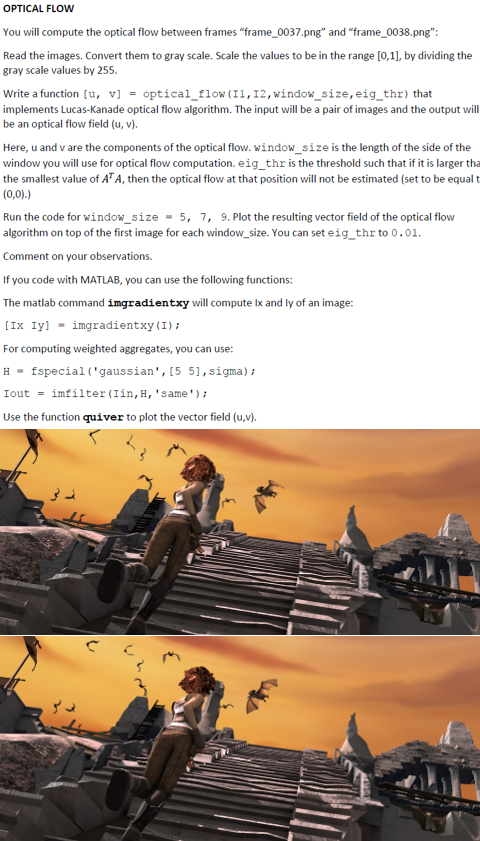  Put the images, plots, codes, comments, and discussions as a Report.