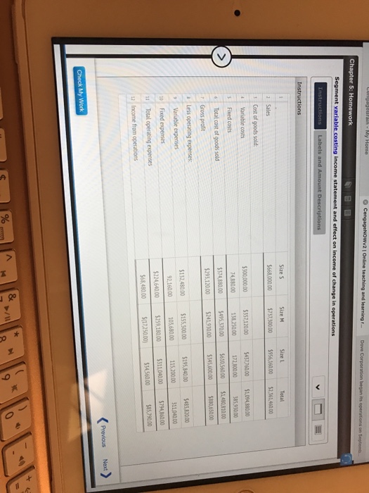 income of change in operations Instructions Labels and Amount Descriptions Instructions Valdespin