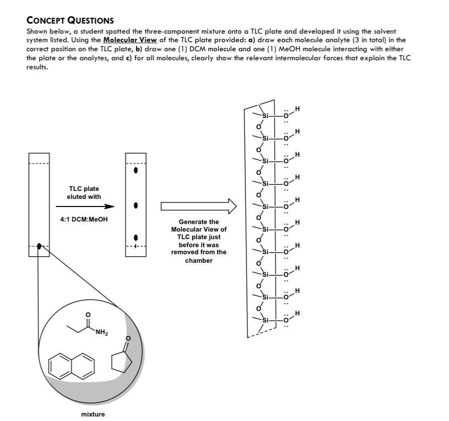  CONCEPT Questions Shown below, a student spotted the three-component mixture onto