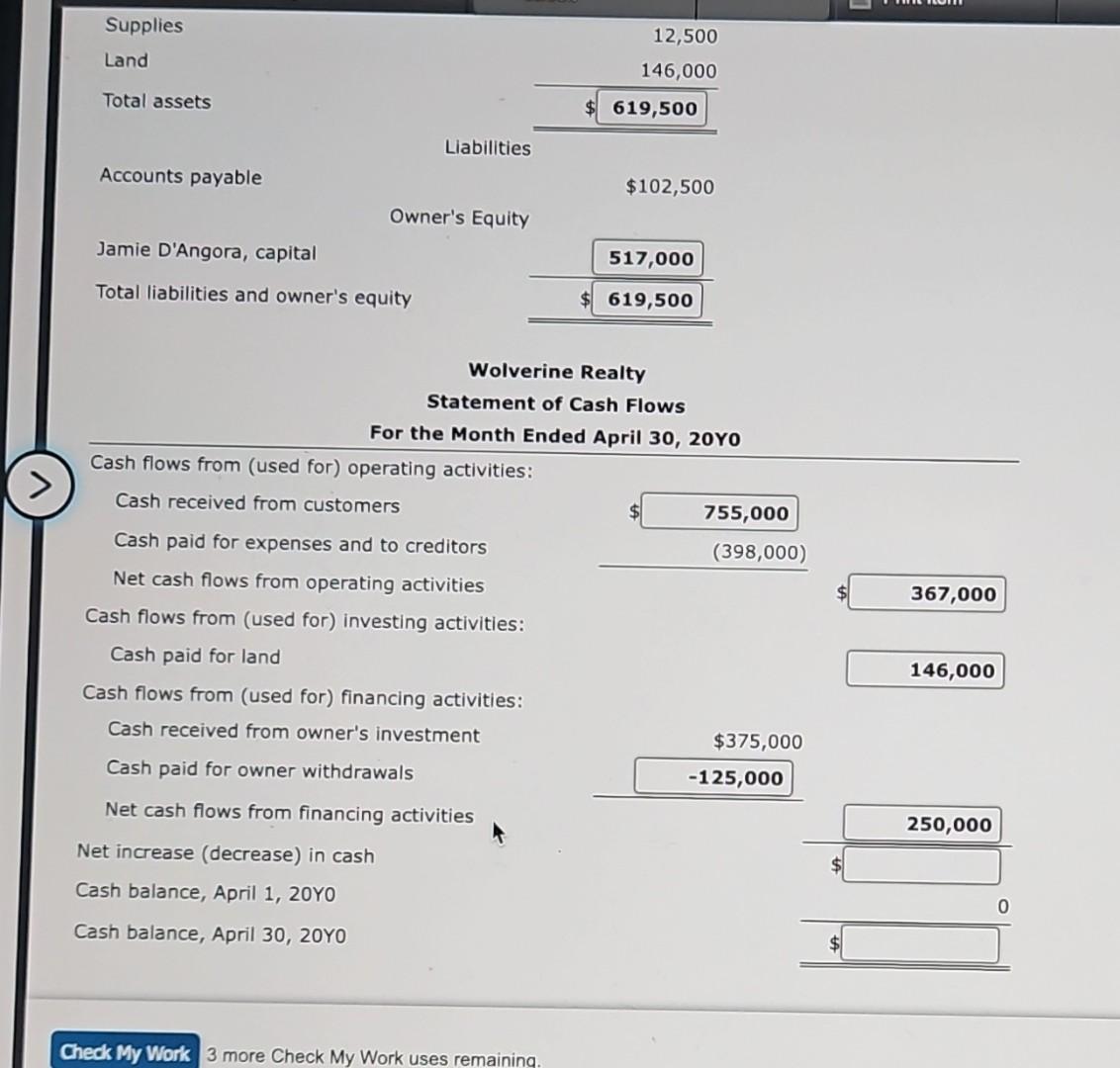 the answers would be great Missing amounts from financial statements Wolverine Realty
