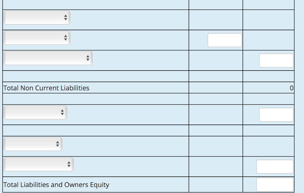  Total Non Current Liabilities Total Liabilities and Owners Equity Total Non