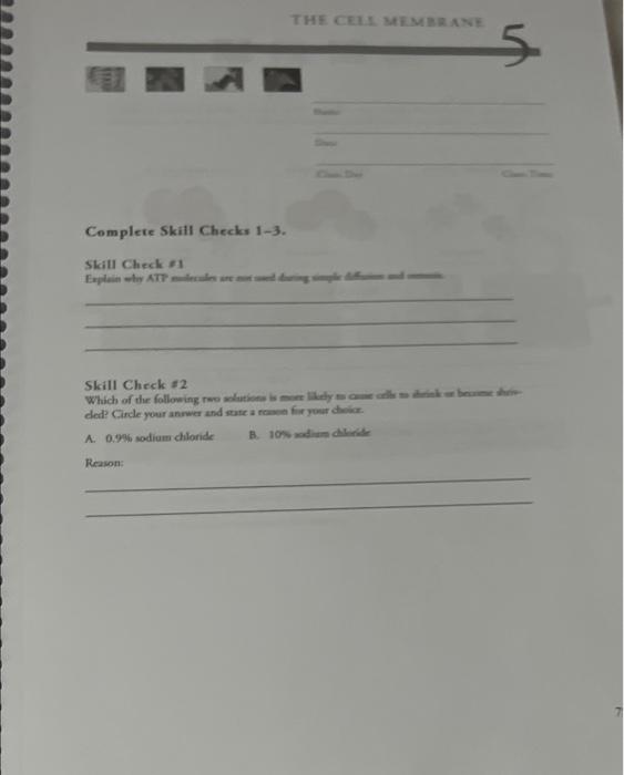  THE CELL MEMBRANE 5 Complete Skill Checks 1-3. Skill Check Explah