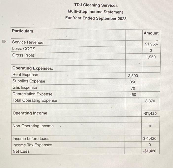 TDJ Cleaning Services Multi-Step Income Statement TDJ Cleaning Services Statement Of Owners