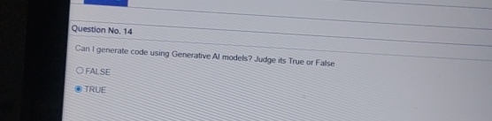  Question No.14 Can I generate code using Generative Al models? Judge