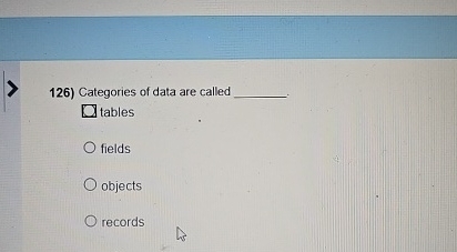  Categories of data are called tables fields objects records 