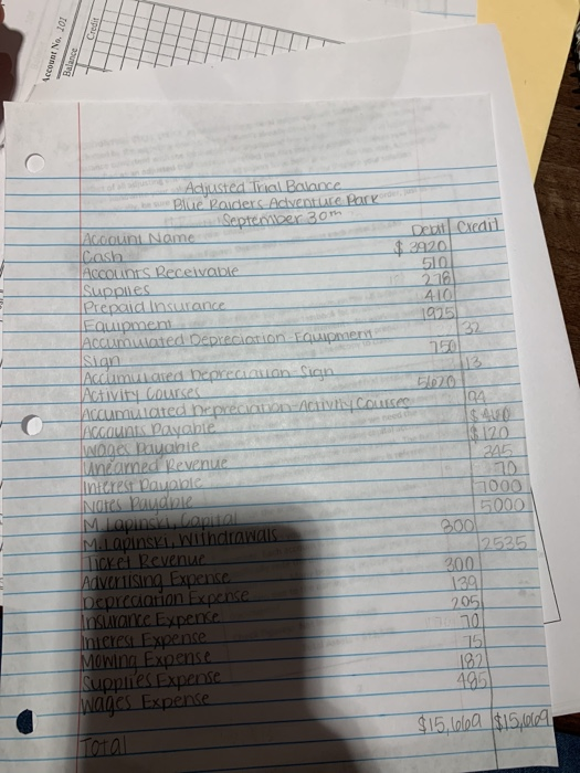 trial balance and the adjusted trial balance, this trial balance is simply