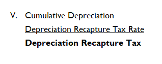 Amortization Term Payment Period Depreciation Capital Gains Tax Rate Total Capital Improvements