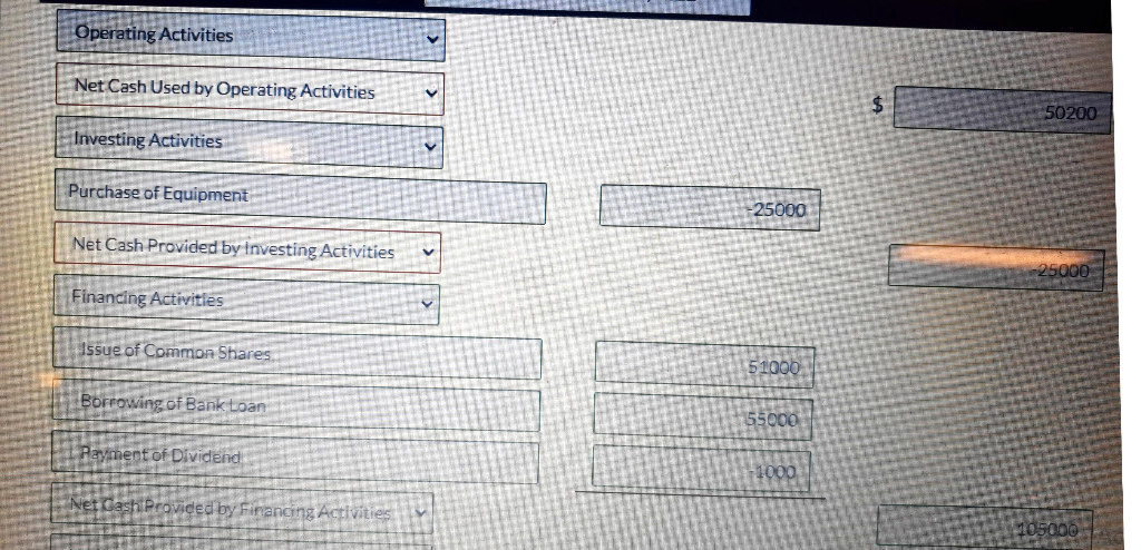  Does anyone know how to fix these mistakes? Operating Activities Net