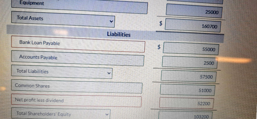 Cash Used by Operating Activities V $ 50200 Investing Activities Purchase of