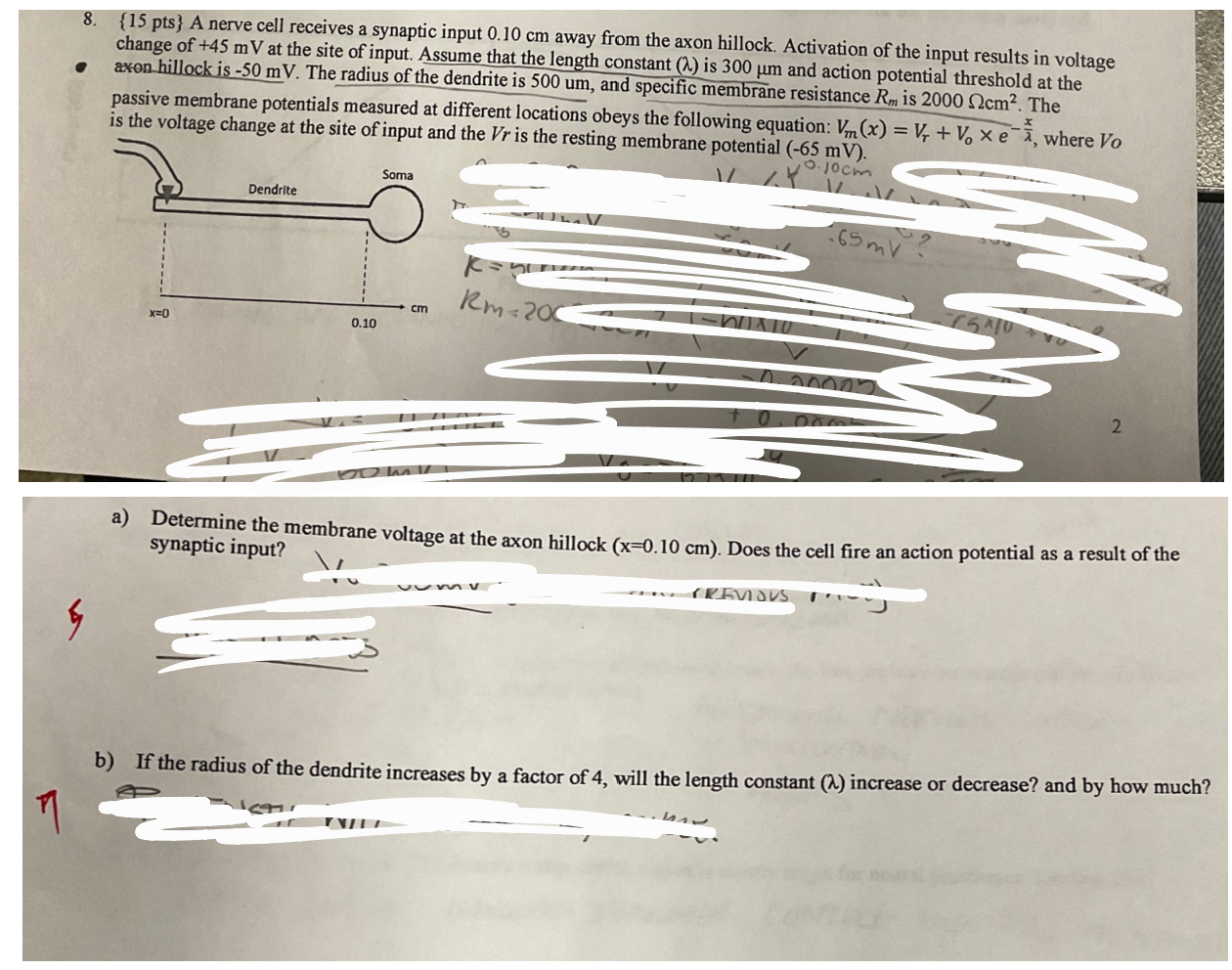  8. {15 pts } A nerve cell receives a synaptic input