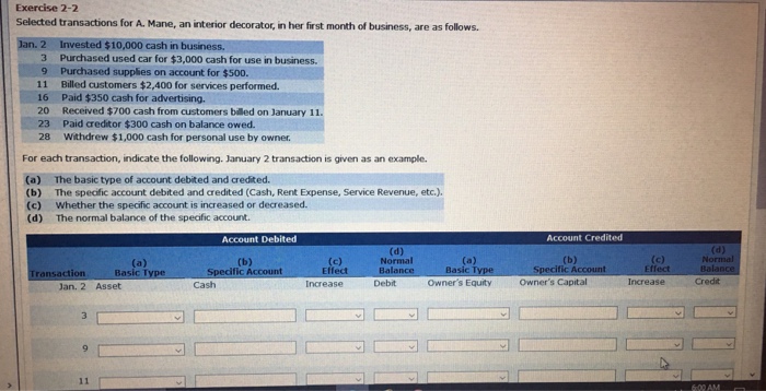  Selected transactions for A. Mane, an interior decorator, in her first