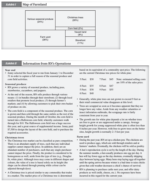 Financial Information Related to inventory During the year, RN started its Christmas