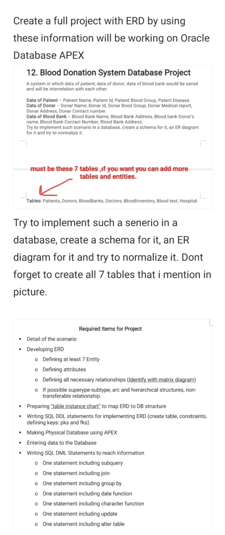  create a full project with ERD by using these information.Do not