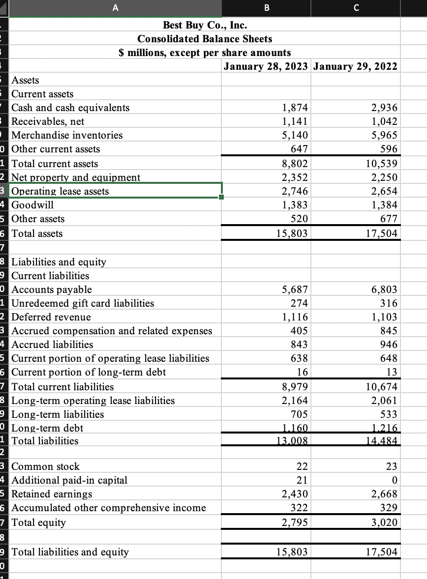 for the fiscal year that ended on January 28, 2023. This except