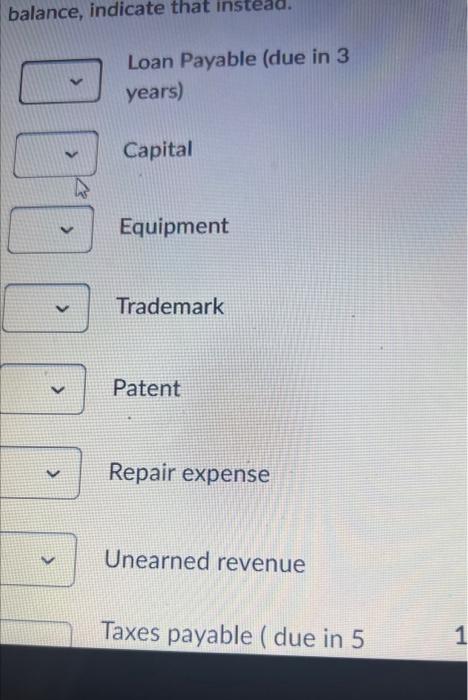  balance, indicate that instead. Loan Payable (due in 3 years) Capital
