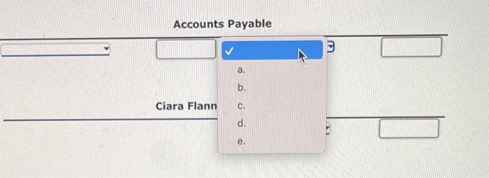 e. Accounts Payable Equipment a. c. d. Accounts Payable e. Accounts Payable