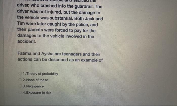 throwing rocks at vehicles from a bridge overlooking the freeway. One day,