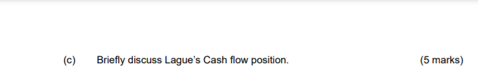 (c) Briefly discuss Lague's Cash flow position. (5 marks) QUESTION 1