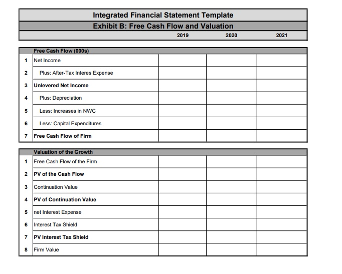balance sheet and Income Statement projections for a specific company. The company