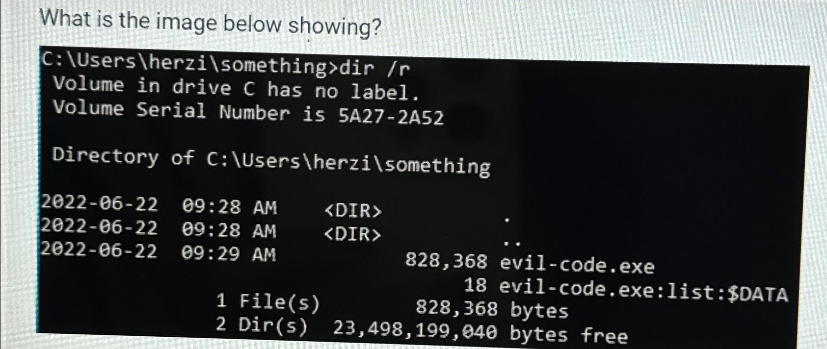  What is the image below showing? C: \Users\herzi\something>dir /r Volume in
