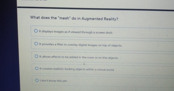  What does the "mesh" do in Augmented Reality? It displays images