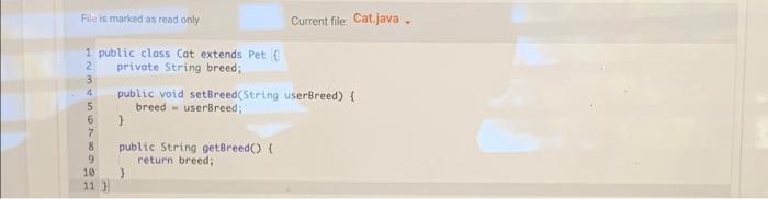 The derived class Cat extends the Pet class and includes a private