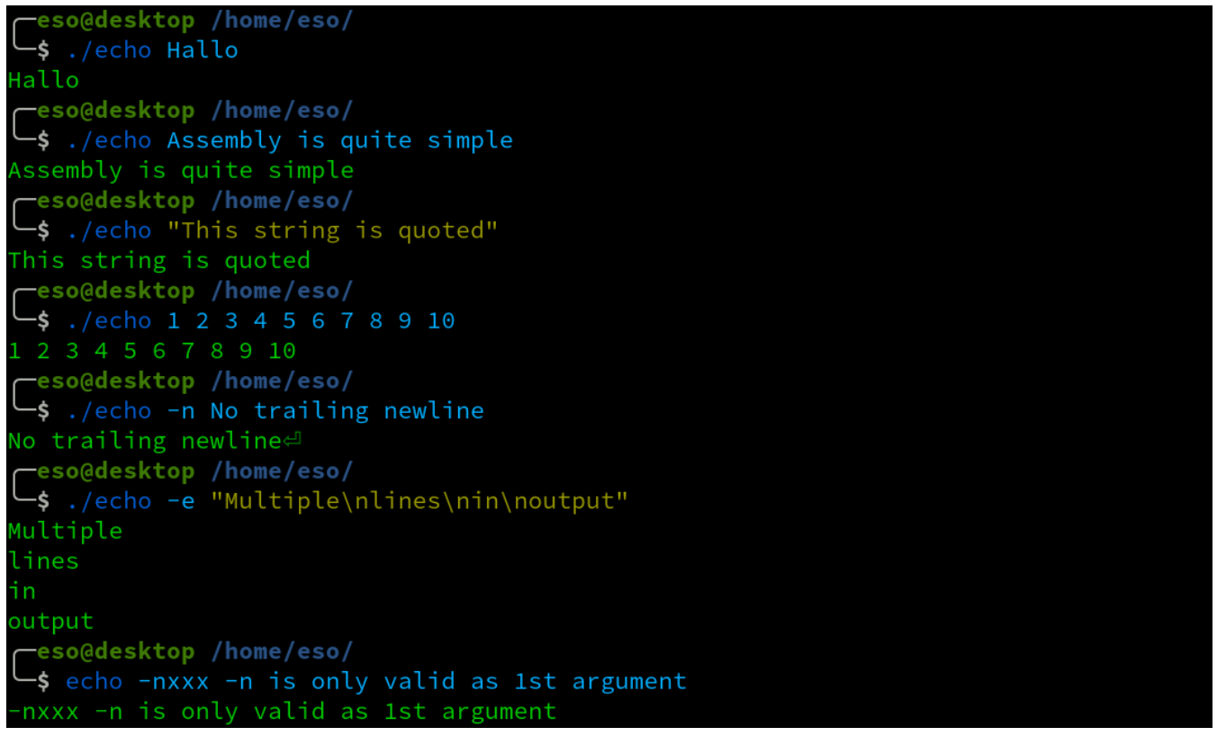 not Intel syntax. A possible echo program: Implement the echo program in
