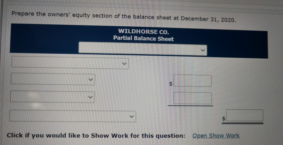 Wildhorse Co., beginning capital balances on January 1, 2020, are Nancy Payne