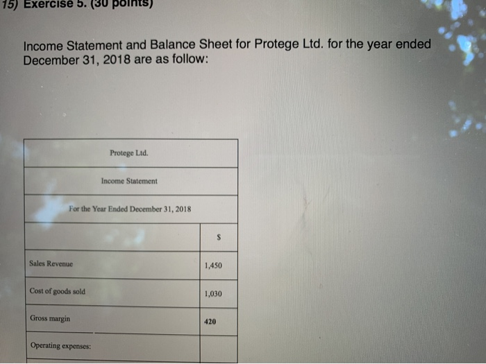  15) Exercise 5. (30 points) Income Statement and Balance Sheet for