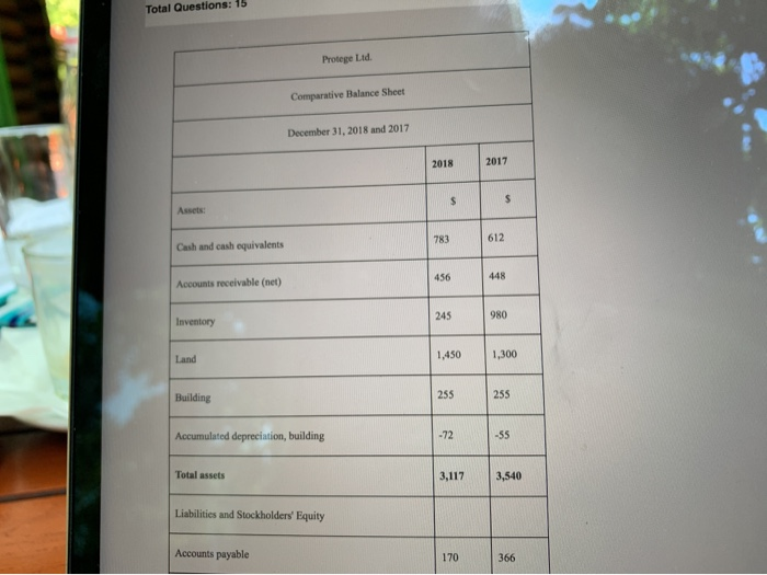 Protege Ltd Income Statement For the Year Ended December 31, 2018 $