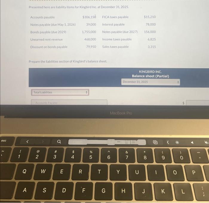  Presented here are liability items for Kingbird Inc at December 31,2025.